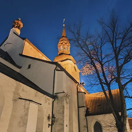 Apartament Rooftop Flat Near Alexander Nevsky Cathedral *