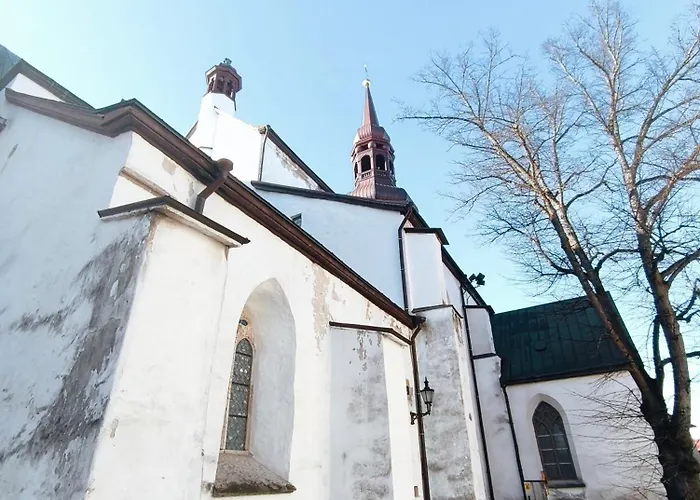 Rooftop Flat Near Alexander Nevsky Cathedral Korter Tallinn