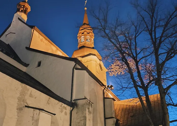 Korter Rooftop Flat Near Alexander Nevsky Cathedral *